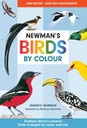 [BKSA-ZOO] Newman's Birds by Colour