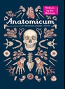[PROT-PICT] Anatomicum